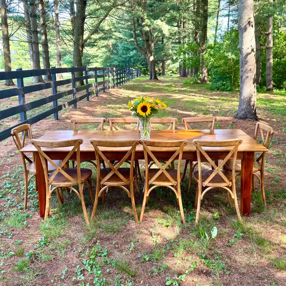 Featured furniture showcase